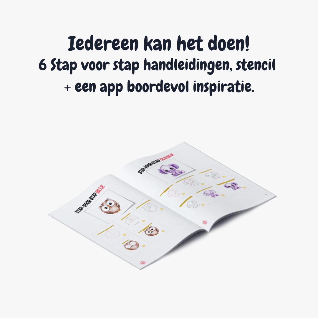 Starterspakket Happy Stones + App om ze te volgen | Alles-in-1 | Stenen schilderen