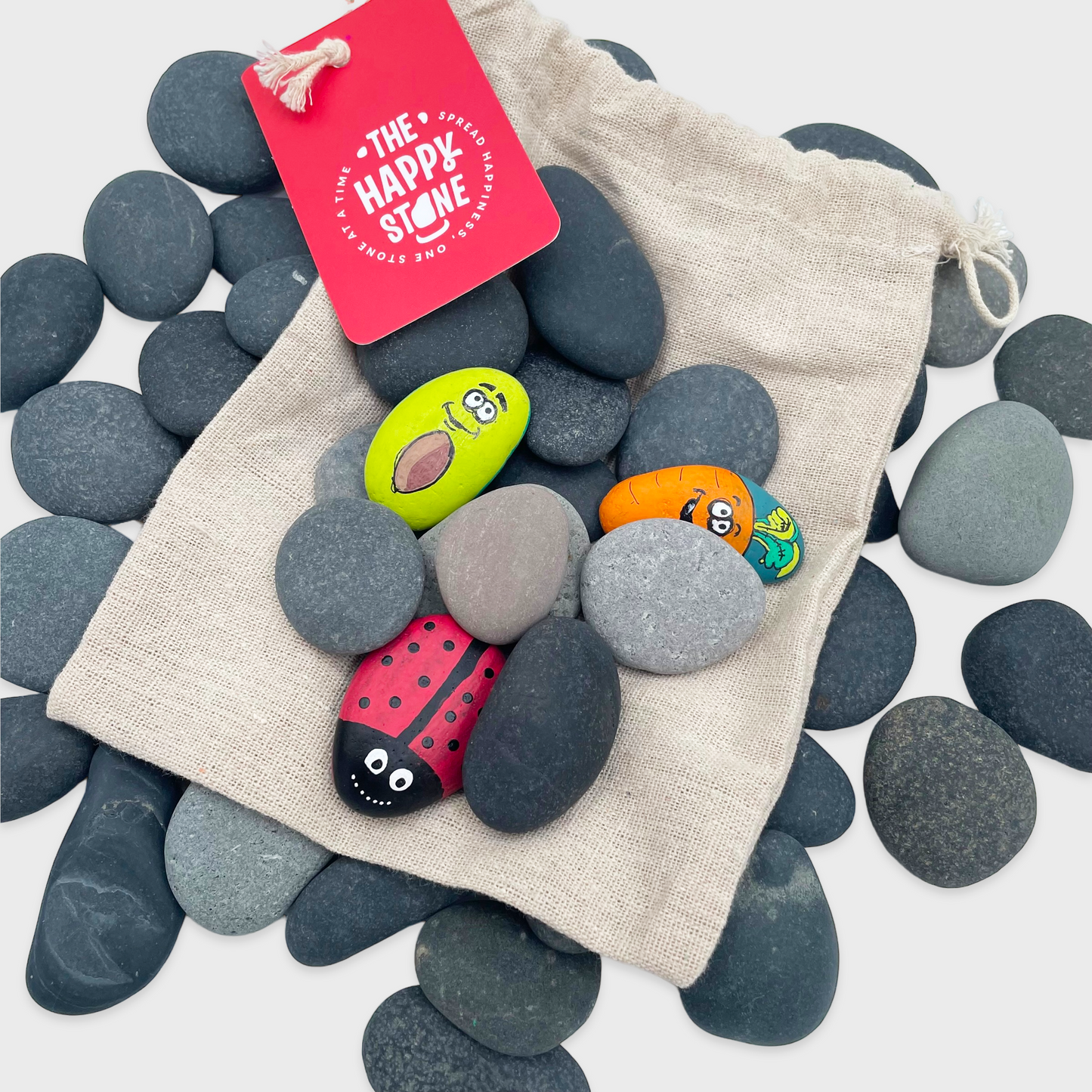 Starterspakket Happy Stones | Alles-in-1 | Stenen schilderen