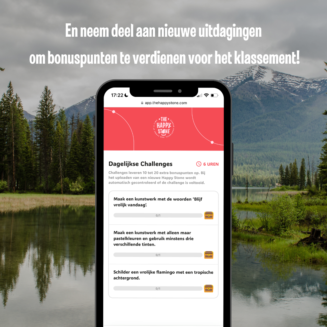 Starterspakket Happy Stones + App om ze te volgen | Alles-in-1 | Stenen schilderen