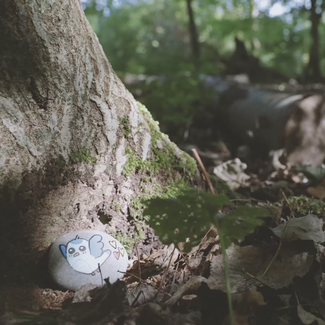 Video laden: 